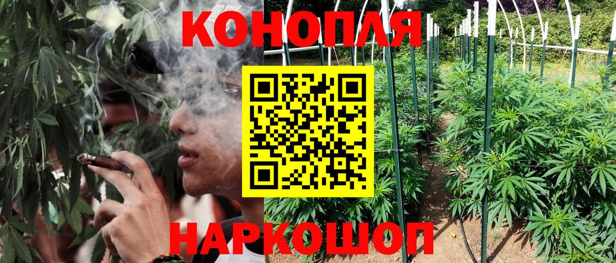 Саранск  МАРИХУАНА SATIVA & INDICA  Вход с VPN  Марихуана сатива 